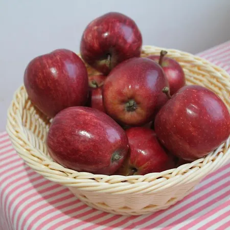 인 파서블 호스텔