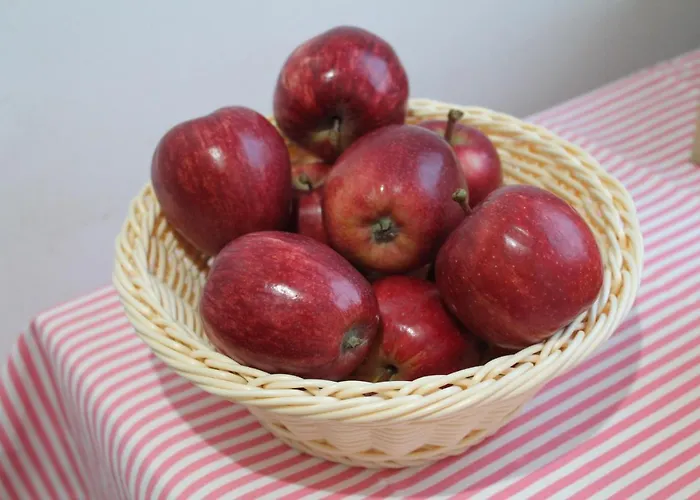 ポシブル ホステル